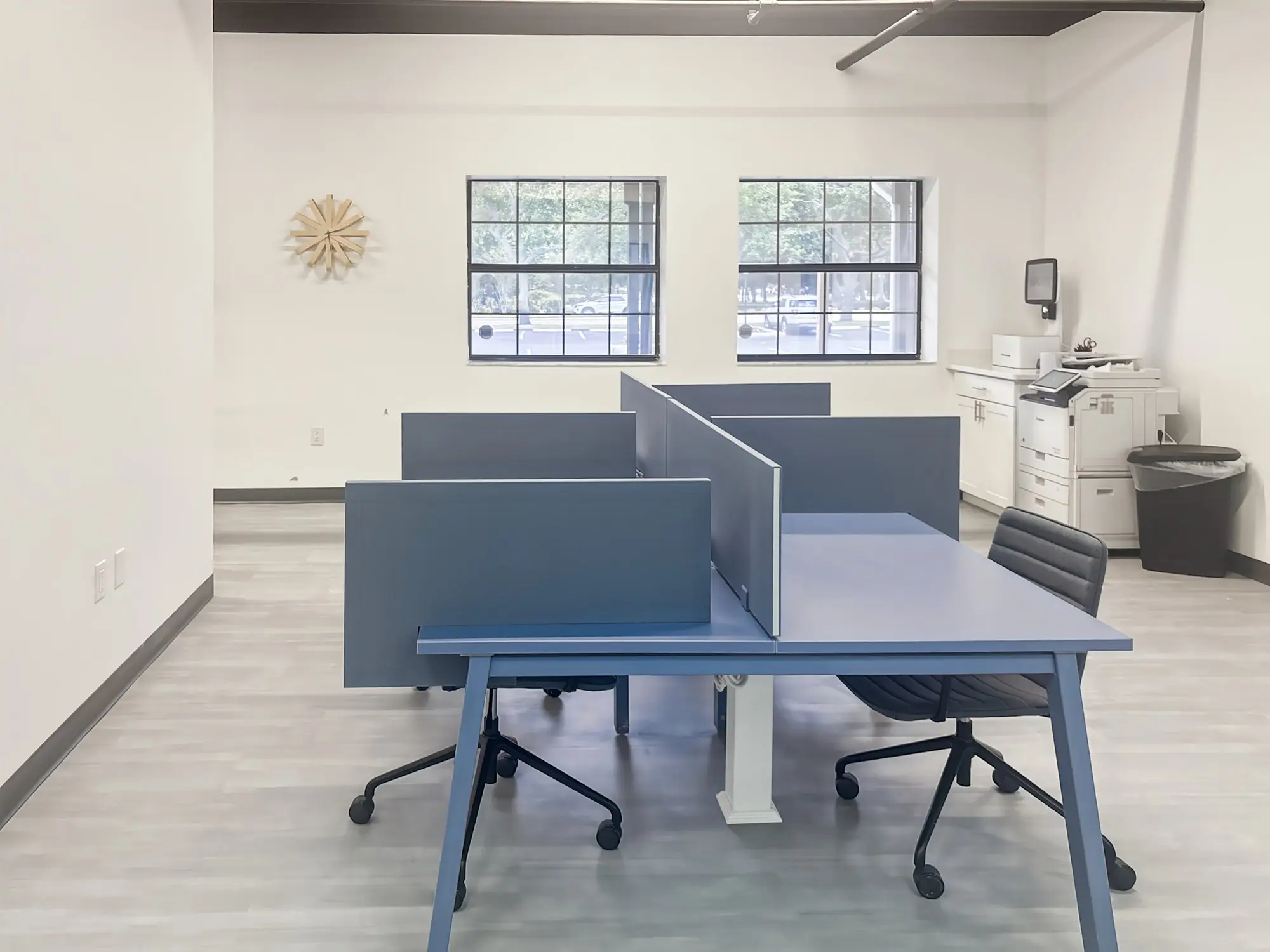 Blue coworking desks with privacy panels beside a pair of windows