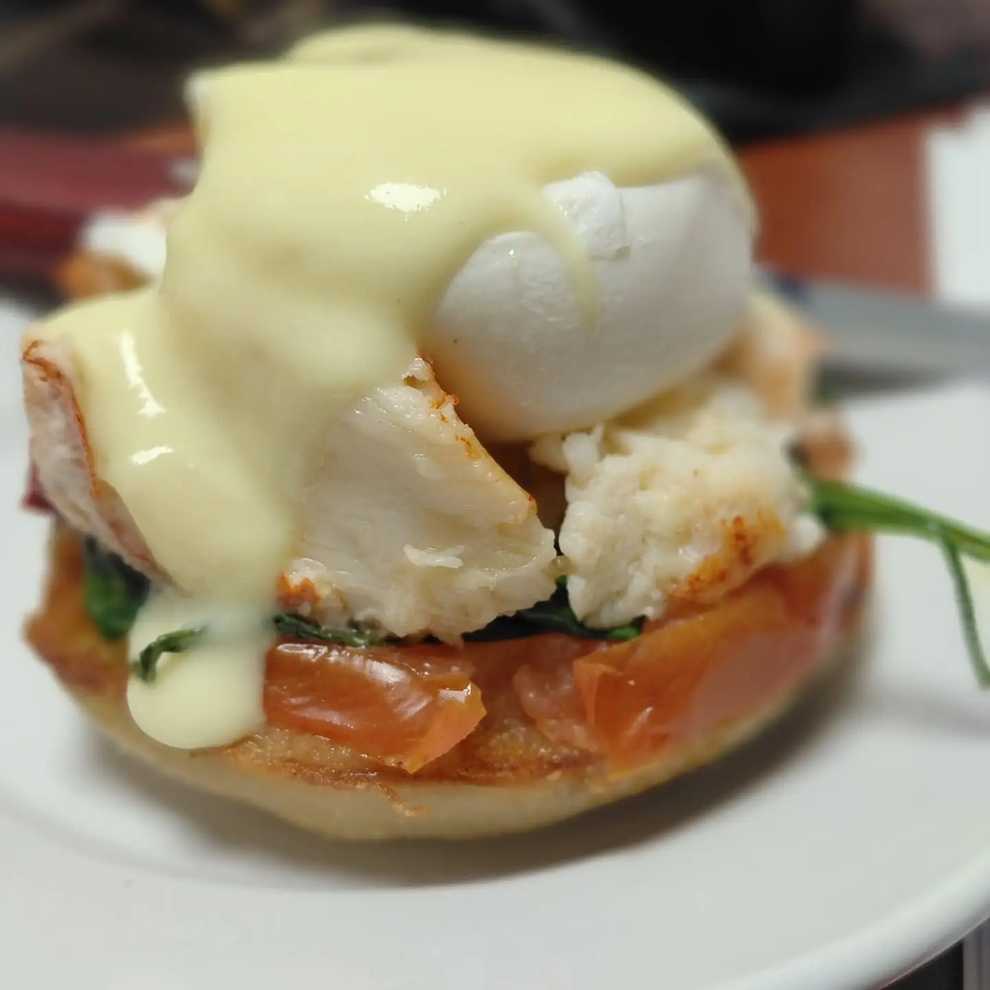 Lobster eggs Benedict topped with hollandaise